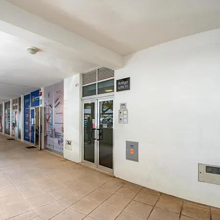 Cool Motion Rocha T1 * Portimão